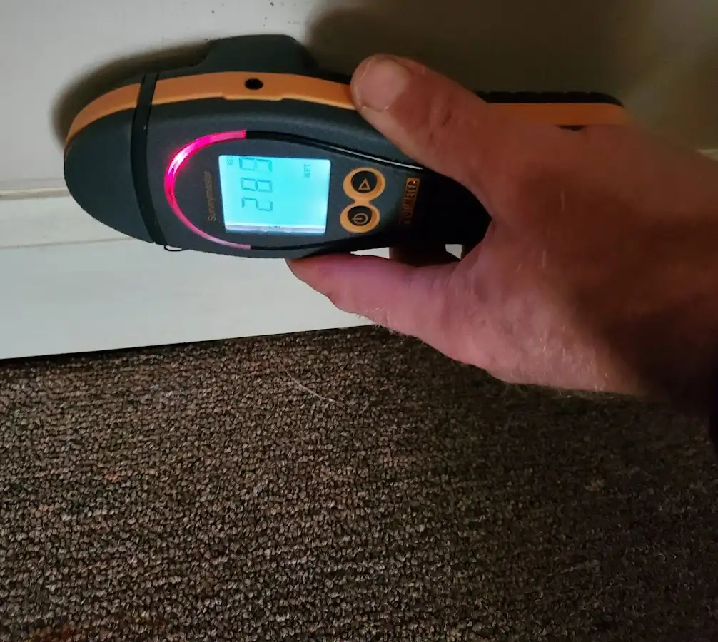 Moisture detection at baseboard during Mold Inspection & Testing in Garfield